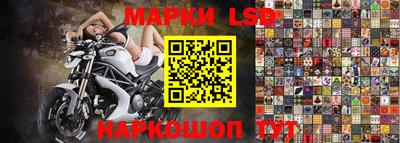 стаф Абинск