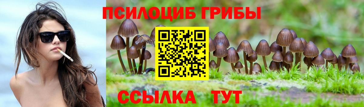 Псилоцибиновые грибы GOLDEN TEACHER Ангарск